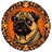 Pug