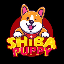 Shiba Puppy