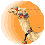 CamelToken