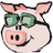 Pig Token
