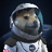 SpaceX Doge