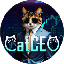 CatCEO