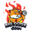 Big Doge Coin